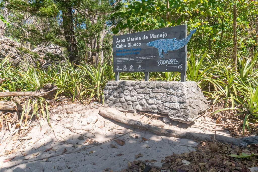 Surfside Apartments - Mal Pais マルパイス エクステリア 写真